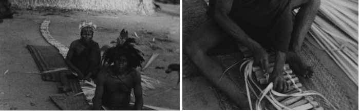 ArticleBrumCoutinho Fig 6-7